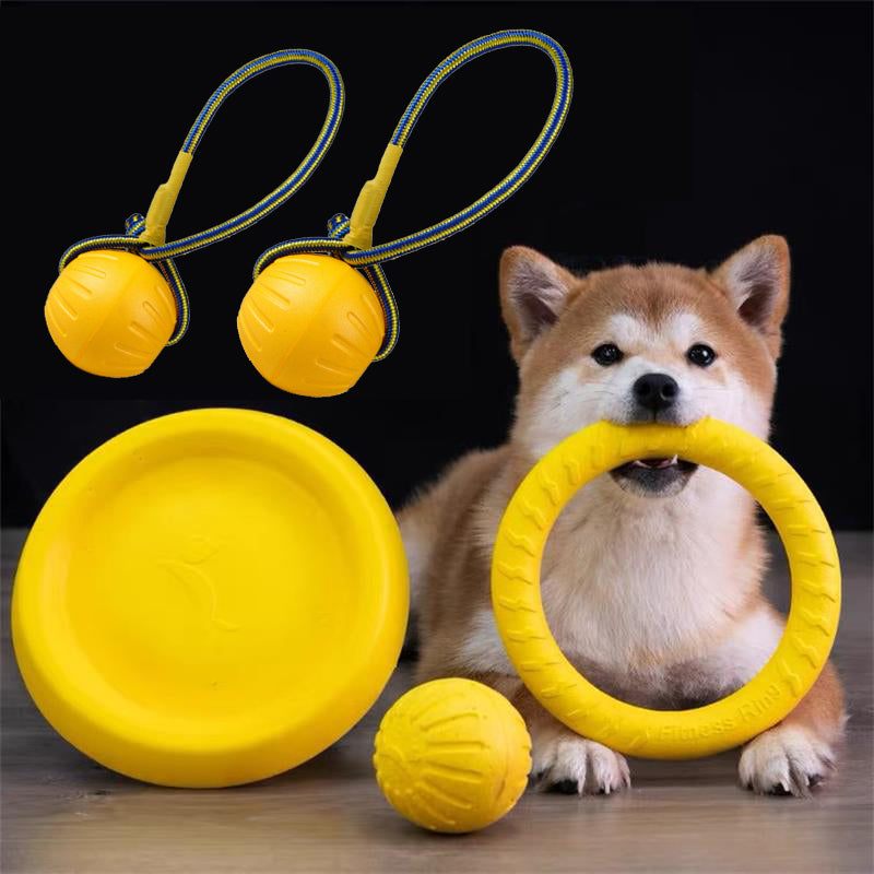 Paquete de 6 discos voladores para perros, juguetes interactivos de  entrenamiento de perros, volador de juguete para cachorros, platillo  flotante