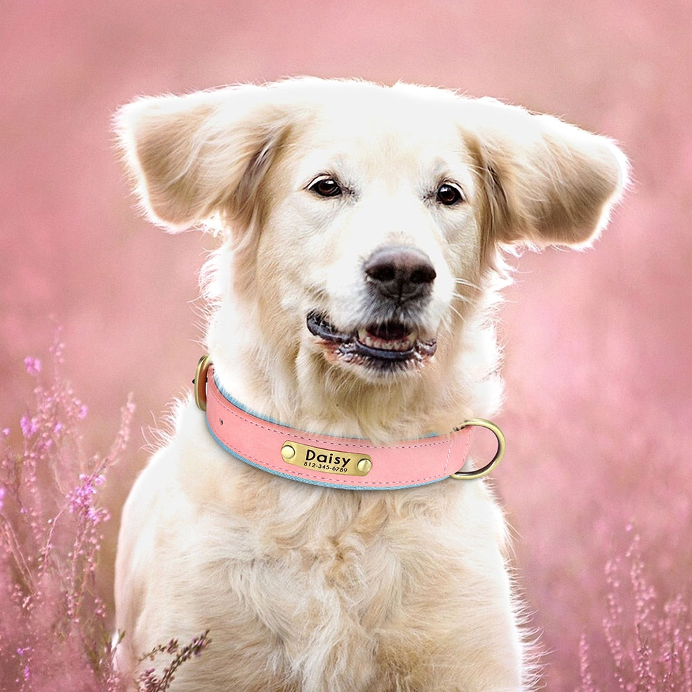 Collar con placa de identificación de cuero personalizado para perros.