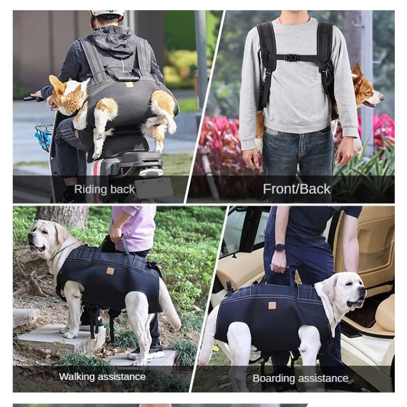 Mochila XL para perros | Asistencia cómoda y segura 🐶✨