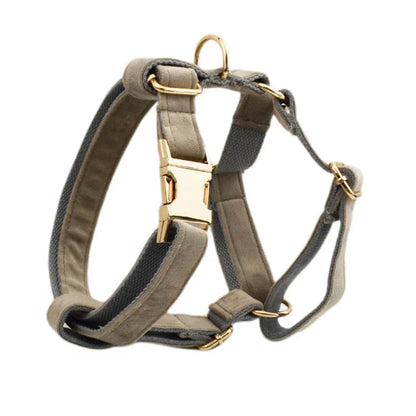 🎀 Elegancia y seguridad para tu peludo: ¡Descubre el combo ideal!