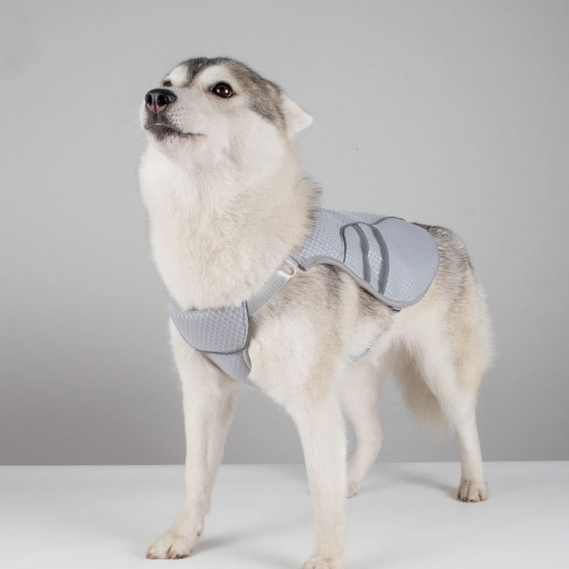 ¡Mantén a tu mejor amigo fresco y a la moda con nuestro Arnés para Perros de Enfriamiento Rápido!