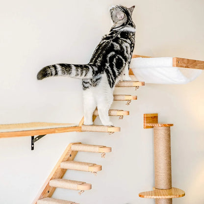 Paraíso elevado para gatos: ¡Descubre nuestra hamaca de pared