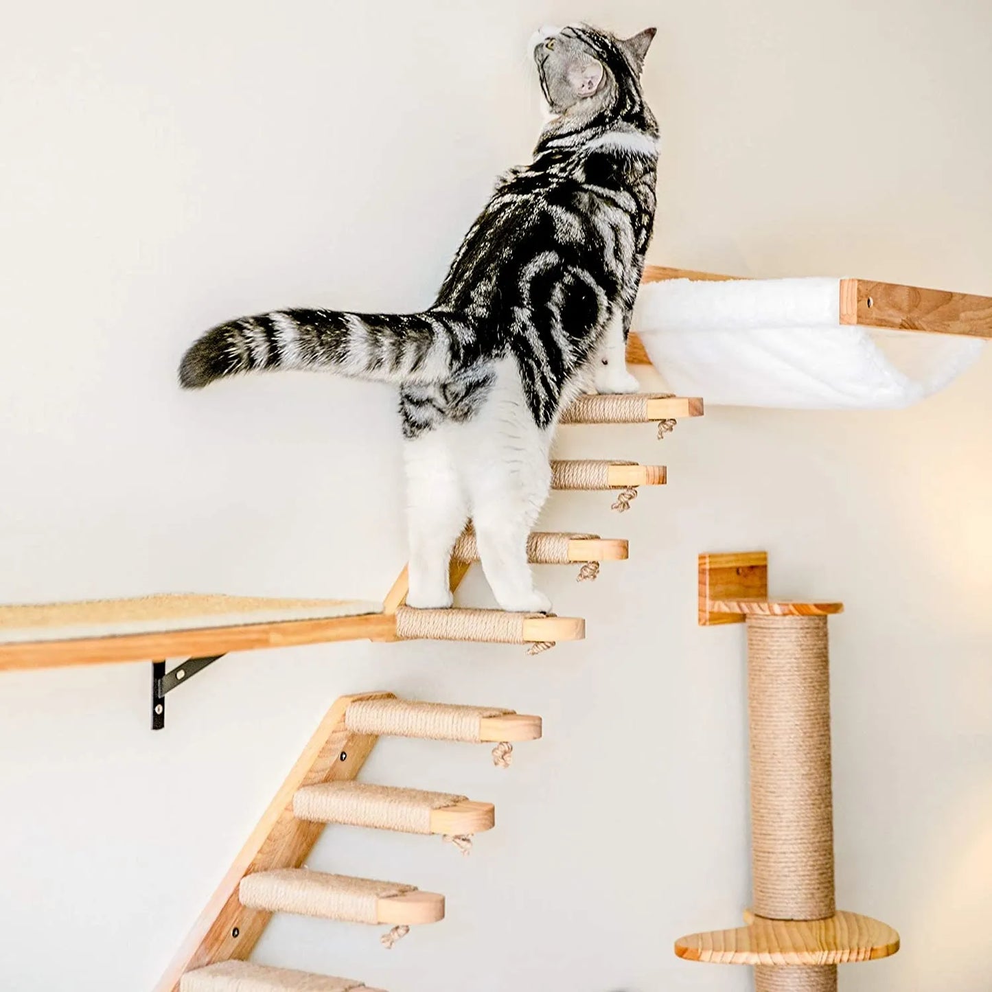 Paraíso elevado para gatos: ¡Descubre nuestra hamaca de pared