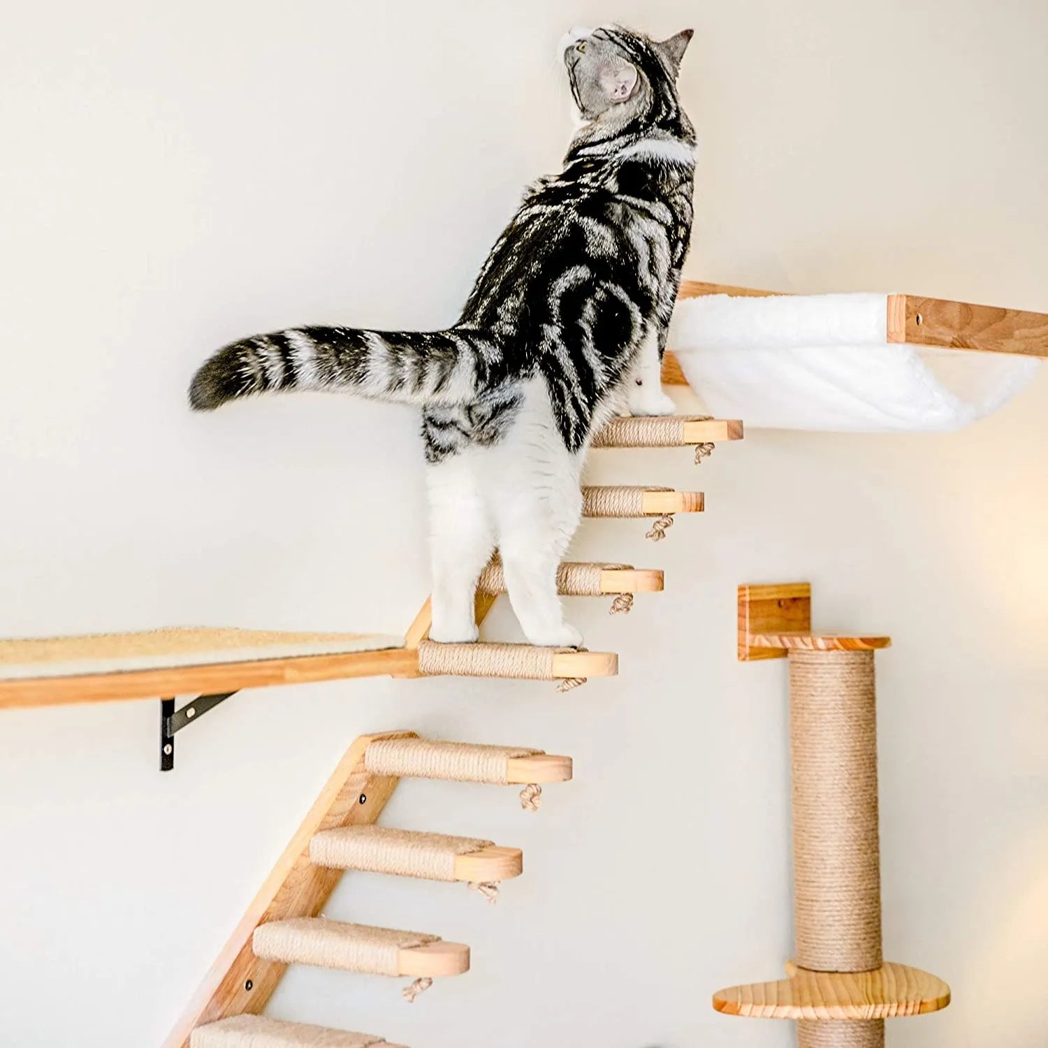 Hamaca de pared para gatos de madera, para colgar en el alféizar de la  ventana de pino y gato, hamaca para colgar en la pared, hamaca de marco de