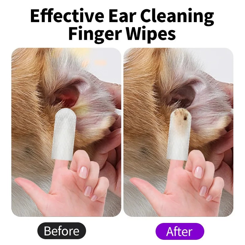 🧼 Toallitas para oídos de perros y gatos | Limpieza fácil y sin estrés