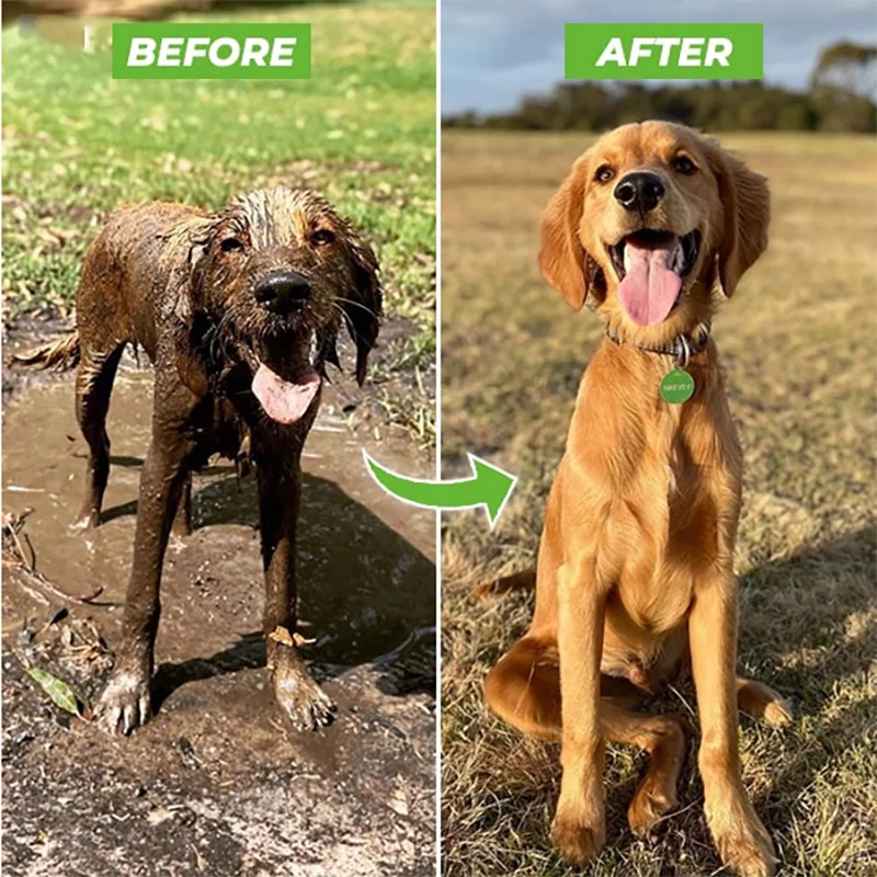 ¡Descubre la Boquilla Pulverizadora de Alta Presión que Hará de la Limpieza de tu Mascota una Experiencia Sencilla y Eficaz!