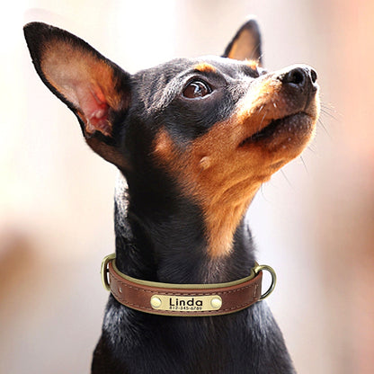 Collar con placa de identificación de cuero personalizado para perros.