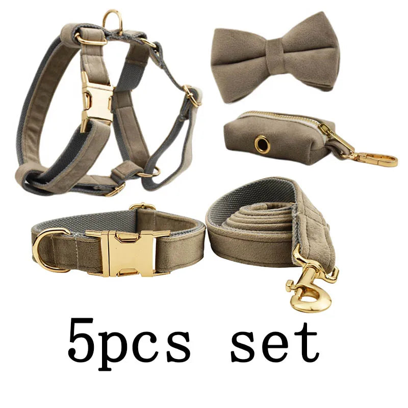 🎀 Elegancia y seguridad para tu peludo: ¡Descubre el combo ideal!
