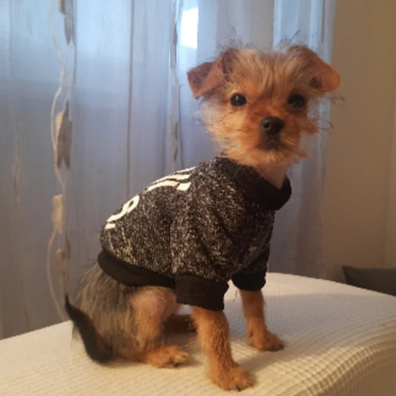 ¡Mantén a tu Mascota Caliente y a la Moda este Invierno!