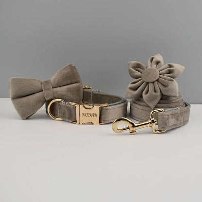 🎀 Elegancia y seguridad para tu peludo: ¡Descubre el combo ideal!