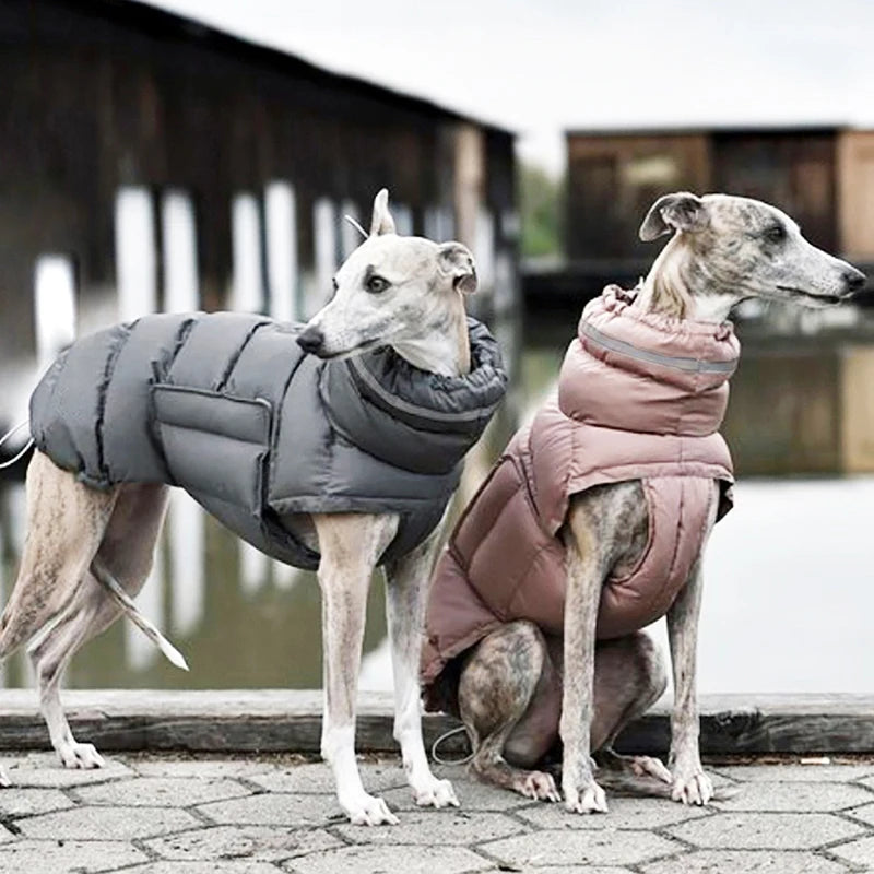 Chaqueta de invierno para perros: Protección contra frío y viento