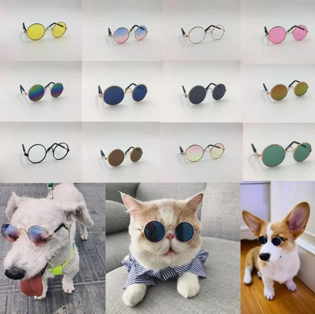 Protege los ojos de tu mascota con estas gafas de metal para perros y gatos. ¡Te sorprenderá lo bien que le quedan!