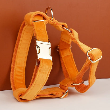 Conjunto de Collar y Correa de Terciopelo Naranja para Perros: Estilo Exclusivo y Seguridad Personalizada para tu Compañero Peludo