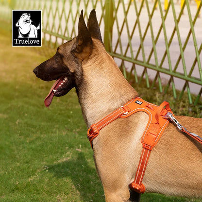 El Arnés Reflectante de Nailon que Revoluciona el Paseo Nocturno de tu Mascota - Mascotalux