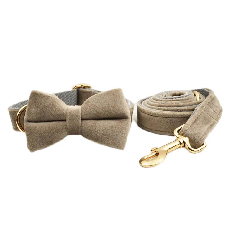 🎀 Elegancia y seguridad para tu peludo: ¡Descubre el combo ideal!