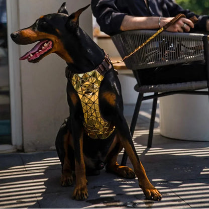 ¡Deslumbra con Elegancia! Arnés para Perro con Lentejuelas y Collar Brillante