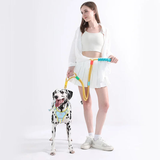 ¡Control y confort en cada paseo! 🐾 Descubre la correa para tu perro