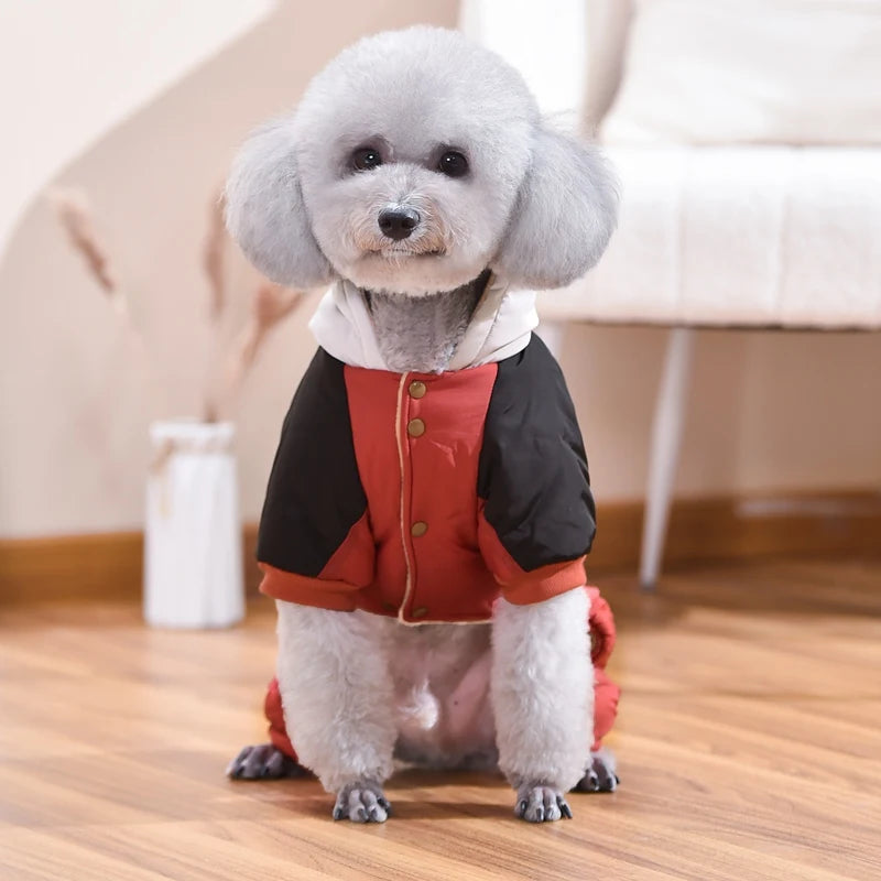 Abriga a tu Mejor Amigo: Chaqueta de Plumas Premium para Perros Pequeños