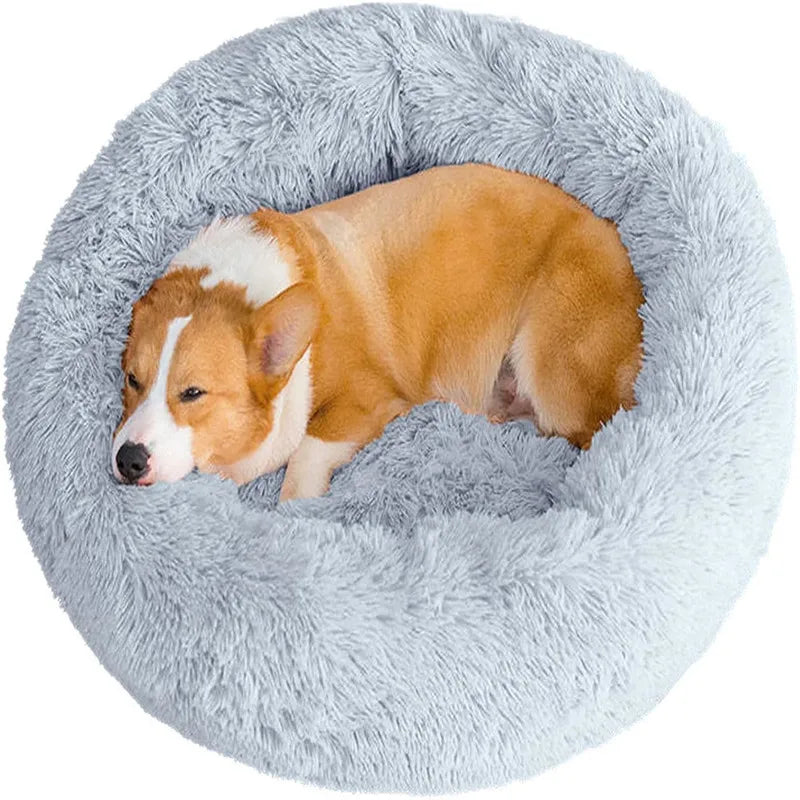 ✨ Cama Redonda Supersuave: El Refugio Cálido Que Tu Mascota Merece ✨