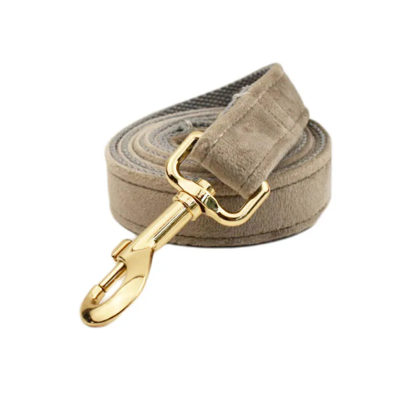 🎀 Elegancia y seguridad para tu peludo: ¡Descubre el combo ideal!