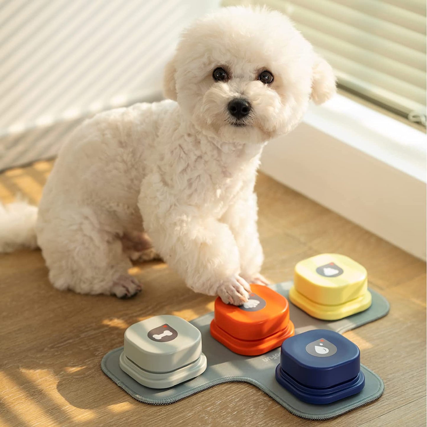 Comunicación Canina Avanzada: Botón de Grabación Parlante para Perro, el Juguete Inteligente que Fortalece el Vínculo