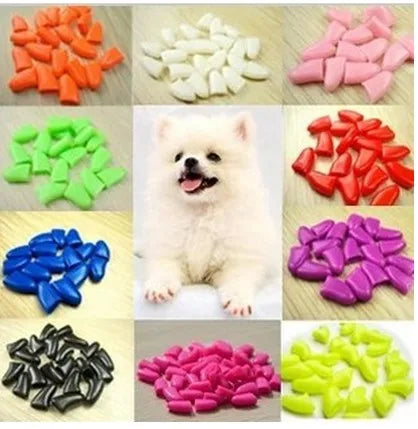 ¡Adiós arañazos! Protege a tu perro y tu hogar con estilo 🐾