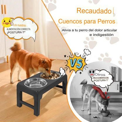 ¡Optimiza la alimentación de tu perro con el cuenco elevado Benepaw de acero inoxidable!