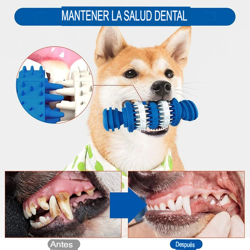 Juguetes Indestructibles Benepaw: Resistencia y Salud Dental para Perros