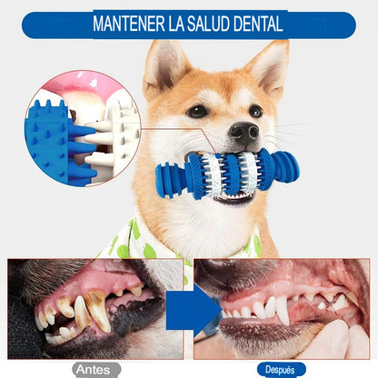 Juguetes Indestructibles Benepaw: Resistencia y Salud Dental para Perros