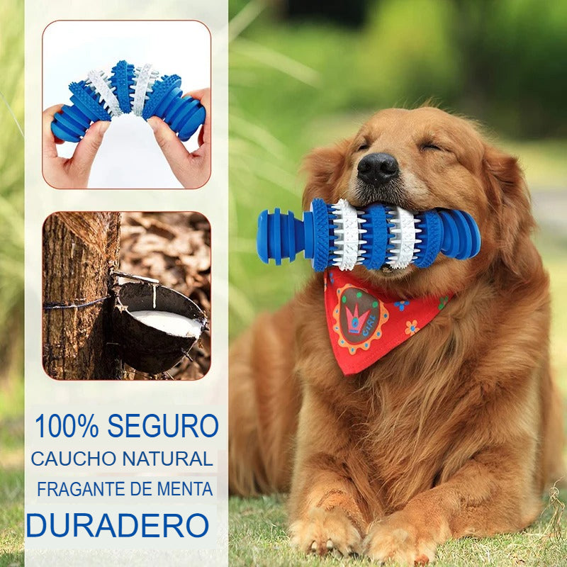 Juguetes Indestructibles Benepaw: Resistencia y Salud Dental para Perros