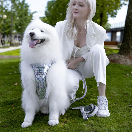 ¡Deslumbra con Elegancia! Arnés para Perro con Lentejuelas y Collar Brillante