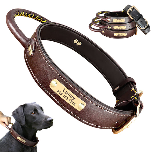 Collar de cuero con etiqueta de identificación personalizada para perros medianos y grandes, Collar de Control rápido para entrenamiento de mascotas, con mango