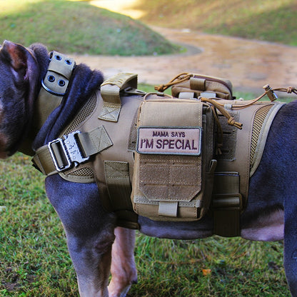 Chaleco táctico de nailon para perros, chaleco militar de caza y tiro para perros, chaleco Molle de entrenamiento Airsoft