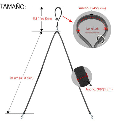 Correa de cuero para perros medianos y pequeños. Acoplador con asa para caminar y entrenar.