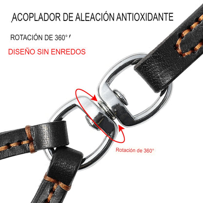 Correa de cuero para perros medianos y pequeños. Acoplador con asa para caminar y entrenar.