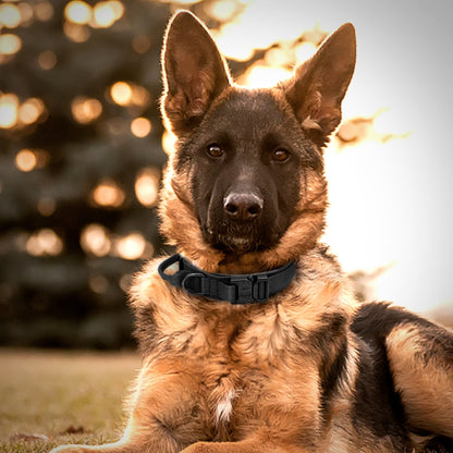 Collar táctico militar para perro, Collar de entrenamiento Duarable para perro pastor alemán.