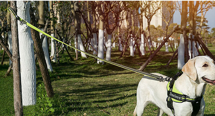 Correa reflectante para perro, Correa multifunción ajustable para caminar, sin plomo, para perros pequeños y grandes, productos para mascotas