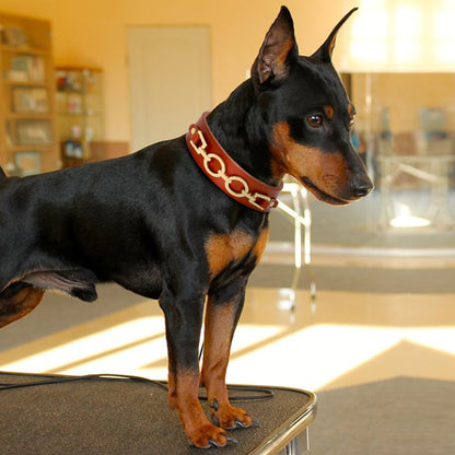 Collar de cuero genuino para perros pequeños medianos grandes.