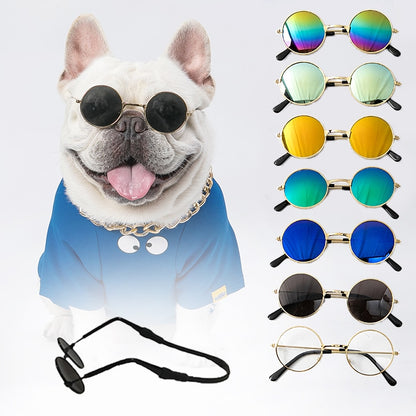 Gafas de sol para perros y gatos: el accesorio perfecto para tu mascota