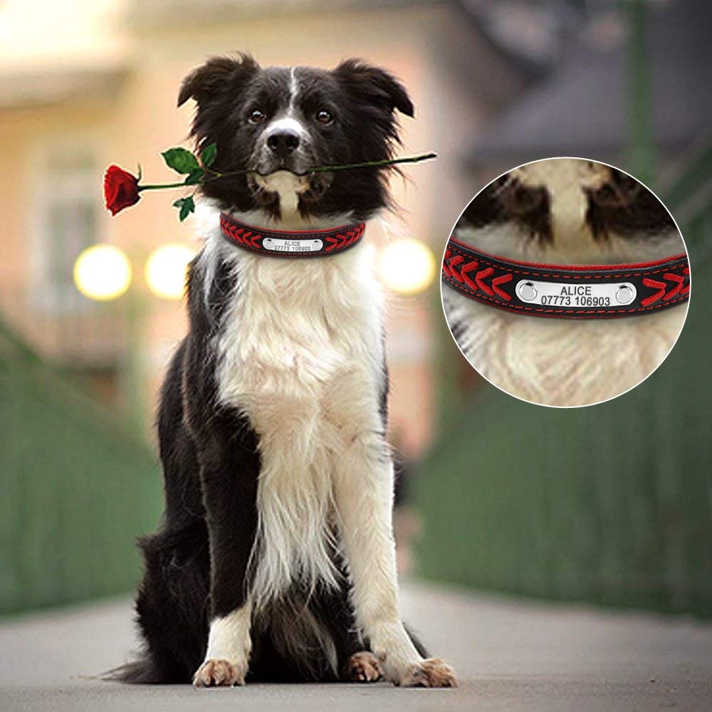 Collar de cuero personalizado para perros,  medianos y grandes, accesorio trenzado y plateado con nombre, etiquetas de identificación para mascotas.