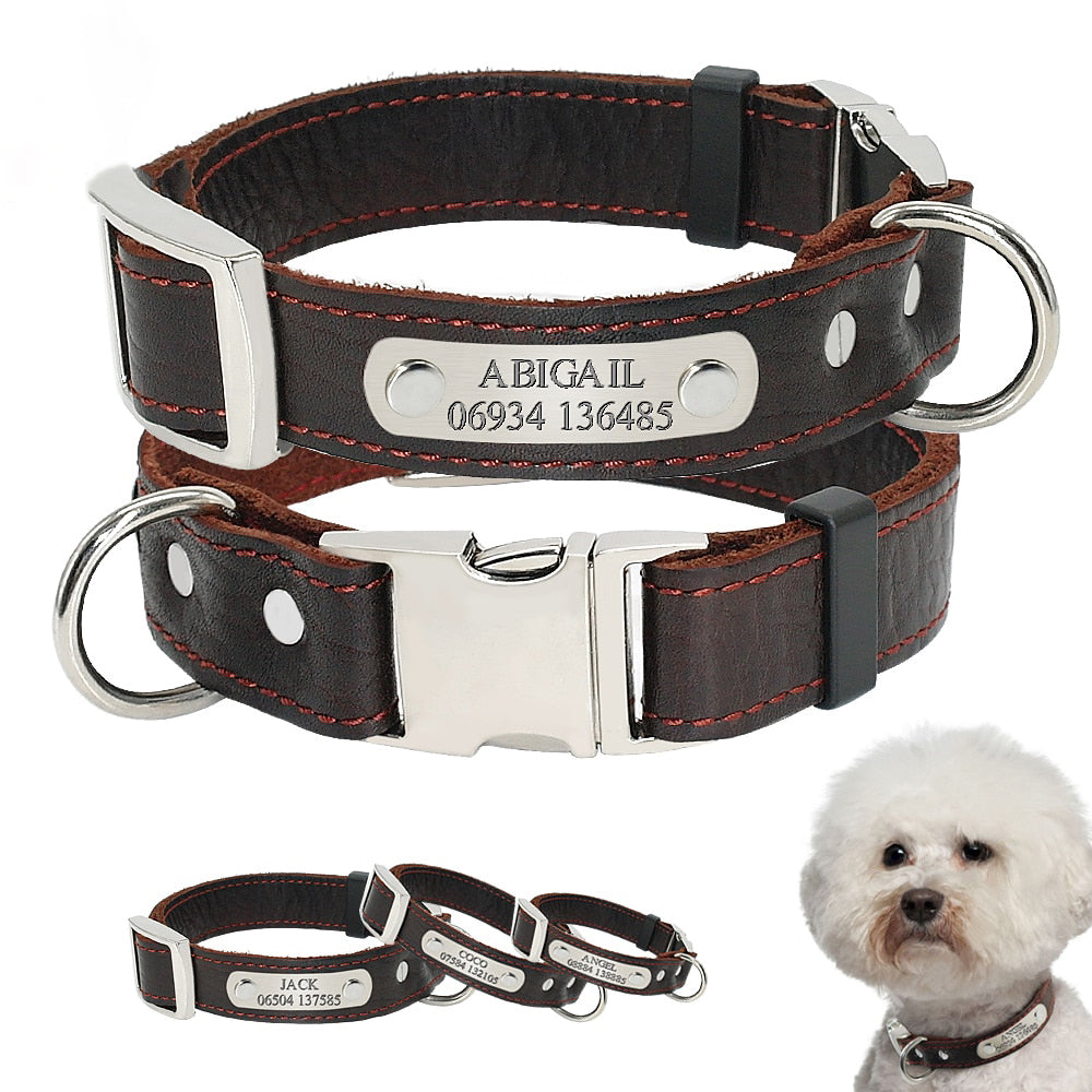 Collar personalizado de piel auténtica para perro, correa ajustable con grabado de identificación.