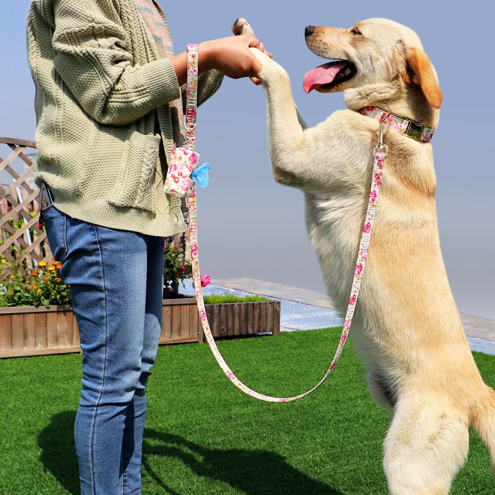 Correa y collar de nailon con flores para perro, conjunto de sujeción animal con estampado floral para mascota de tamaño pequeño, mediano y grande, incluye bolsa para comida de premio.