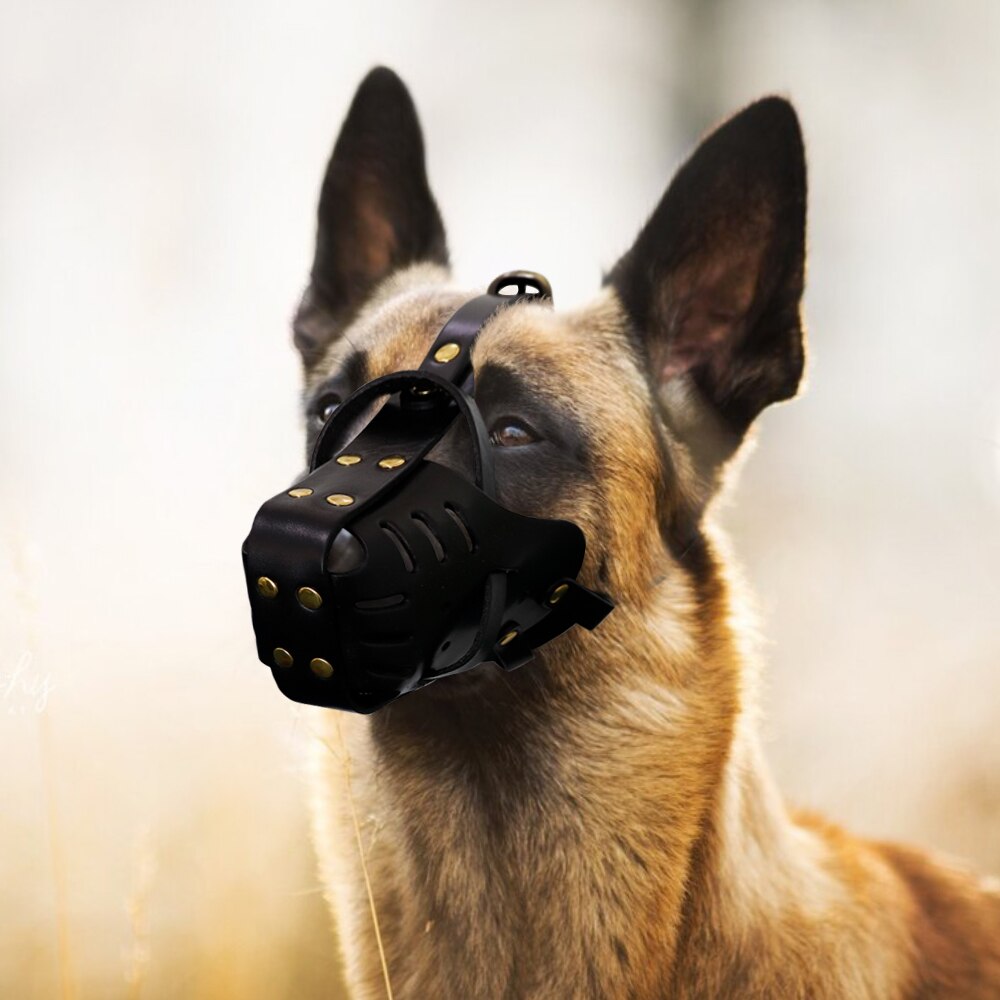 Bozales ajustables de cuero para perro, máscara para la boca, antiladridos