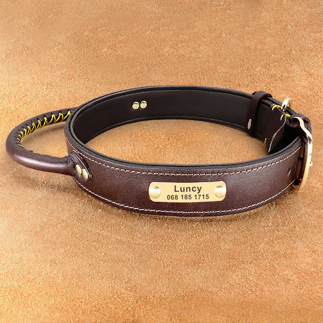 Collar de Cuero Personalizado: Estilo, Comodidad y Seguridad en Uno - Mascotalux