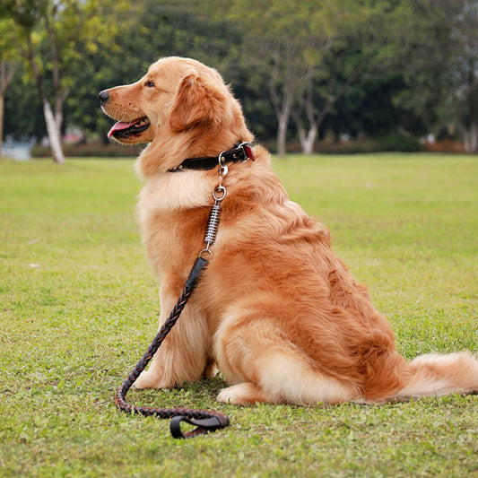 Collar de tracción para perro, correa de cuero para perro grande, cadena de cuerda de remolque, suministros para mascotas, accesorios para evitar que se escape, caminar