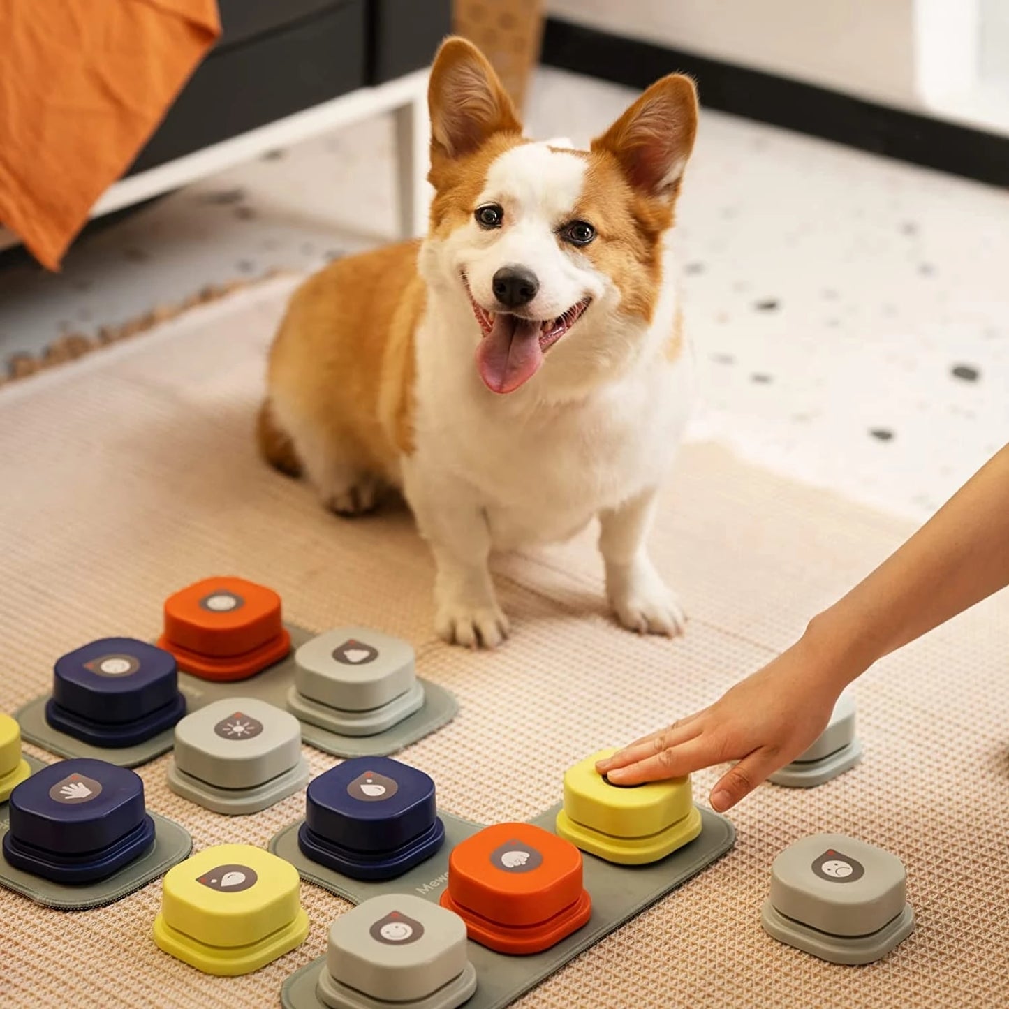 Comunicación Canina Avanzada: Botón de Grabación Parlante para Perro, el Juguete Inteligente que Fortalece el Vínculo