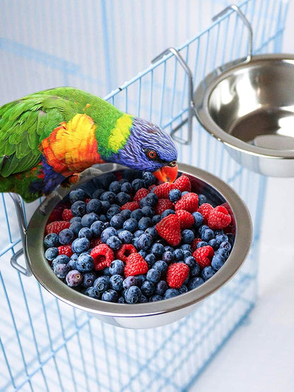 Tazas de acero inoxidable para alimentación de pájaros, soporte de jaula para pájaros.