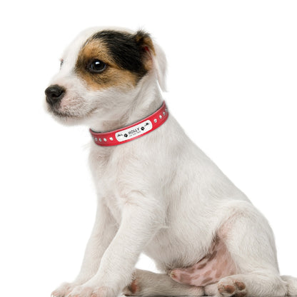 Collar de cuero personalizado para cachorros y gatitos. Grabado gratis y placa con datos.