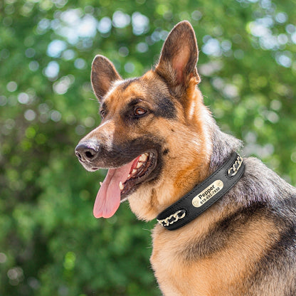Collar de cuero personalizado para perro, placa con etiqueta de identificación personalizada, collares para perros pequeños, medianos y grandes, Bulldog francés Pitbull