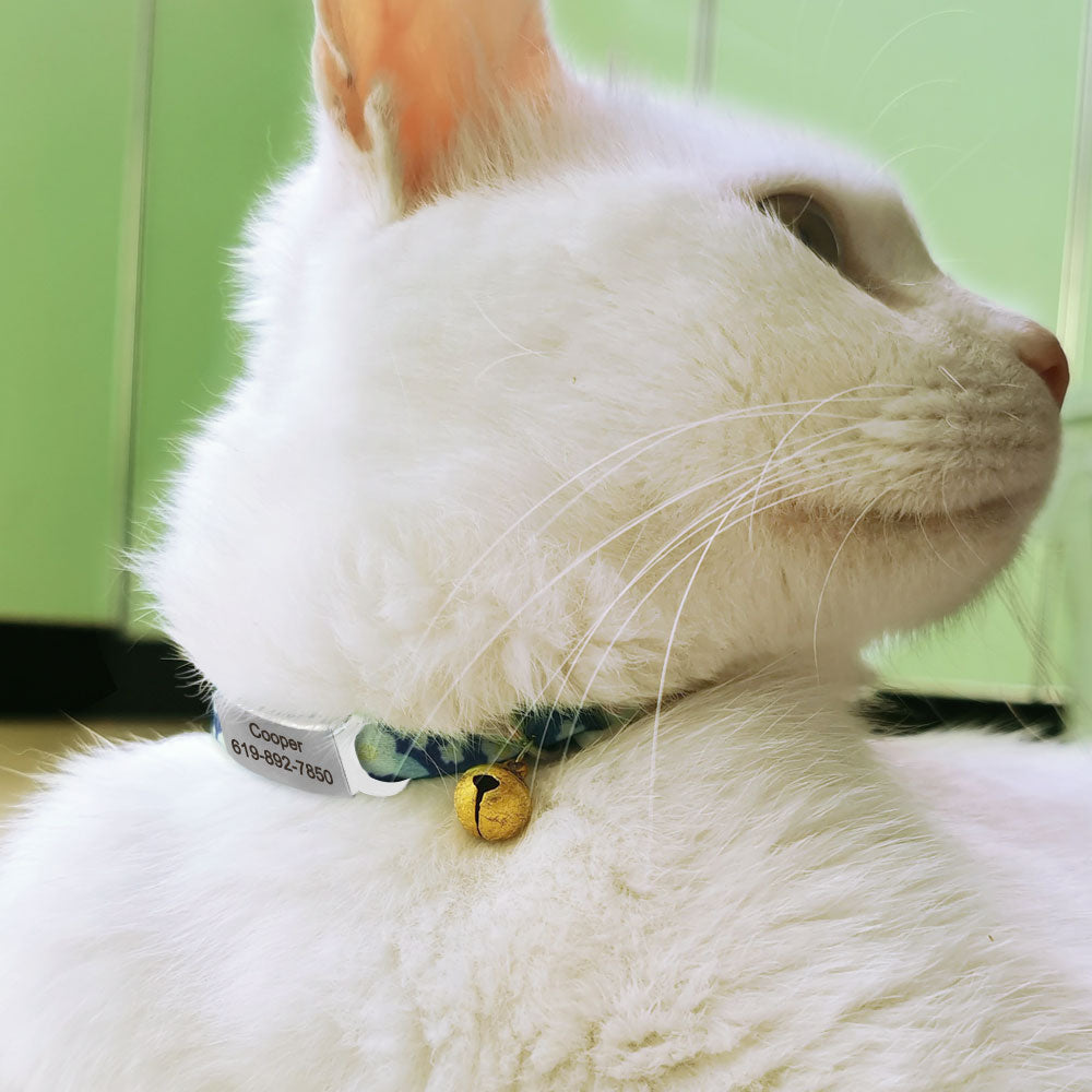 Collar de gato con etiqueta de identificación personalizada, Collar de gato con campana de seguridad, liberación rápida, lindo Collar grabado gratis para gatos y gatitos.